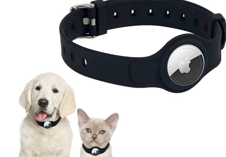 Collier Airtag : localiser votre chien via le Bluetooth