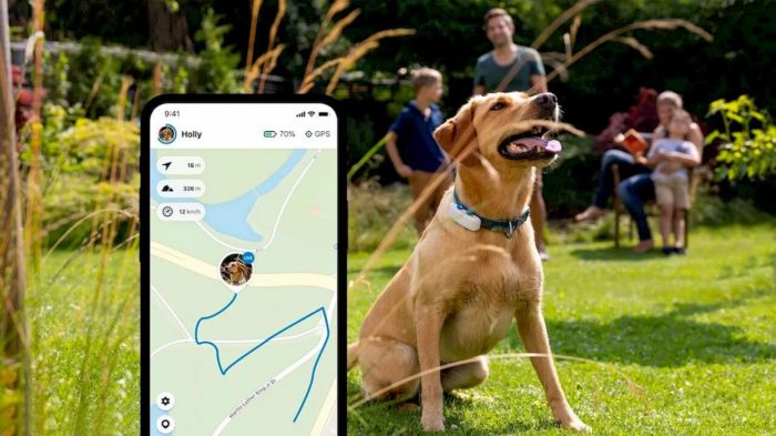 Tractive GPS Dog 4 : Qu’est-ce qu’il permet de faire exactement ?