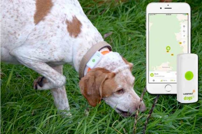 Comment fonctionne la localisation GPS du Weenect Dogs 2 ?