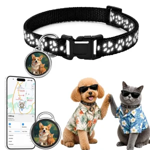 Collier GPS Hcyirfy noir, vue principale
