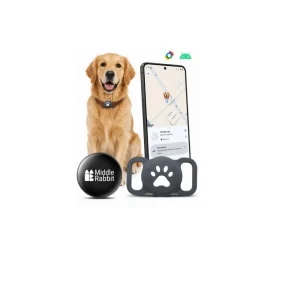 Chien golden avec balise Middle Rabbit fixée sur un collier existant