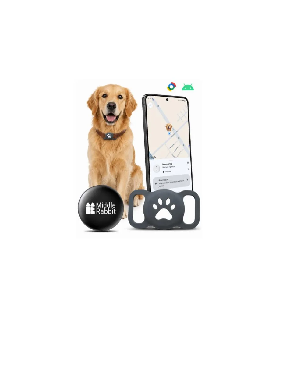 Chien golden avec balise Middle Rabbit fixée sur un collier existant